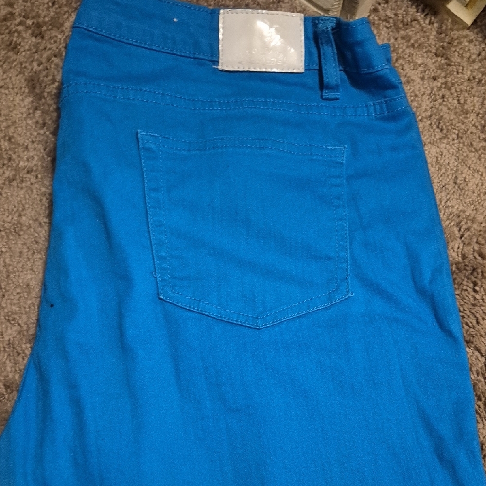 Women's Blue Skinny Jeans